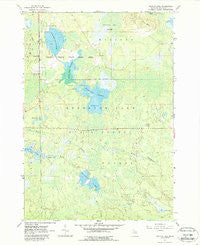 Backus Lake Michigan Historical topographic map, 1:24000 scale, 7.5 X 7.5 Minute, Year 1963