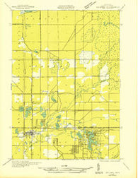 Baldwin NE Michigan Historical topographic map, 1:31680 scale, 7.5 X 7.5 Minute, Year 1931