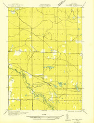 Baldwin NW Michigan Historical topographic map, 1:31680 scale, 7.5 X 7.5 Minute, Year 1931