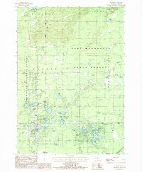 Baldwin Michigan Historical topographic map, 1:24000 scale, 7.5 X 7.5 Minute, Year 1987