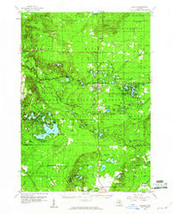 Baldwin Michigan Historical topographic map, 1:62500 scale, 15 X 15 Minute, Year 1959