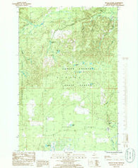 Baraga Plains Michigan Historical topographic map, 1:24000 scale, 7.5 X 7.5 Minute, Year 1985