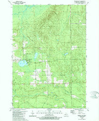 Barton City Michigan Historical topographic map, 1:24000 scale, 7.5 X 7.5 Minute, Year 1989