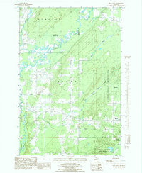 Bear Town Michigan Historical topographic map, 1:24000 scale, 7.5 X 7.5 Minute, Year 1985