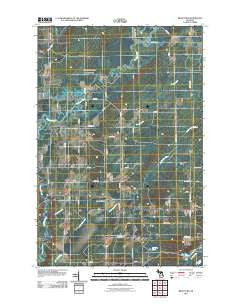 Bear Town Michigan Historical topographic map, 1:24000 scale, 7.5 X 7.5 Minute, Year 2011
