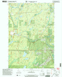 Beechwood Michigan Historical topographic map, 1:24000 scale, 7.5 X 7.5 Minute, Year 1999