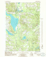 Bellaire Michigan Historical topographic map, 1:24000 scale, 7.5 X 7.5 Minute, Year 1985