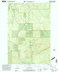 Bergland NE Michigan Historical topographic map, 1:24000 scale, 7.5 X 7.5 Minute, Year 1999
