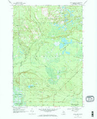 Betsy Lake SW Michigan Historical topographic map, 1:24000 scale, 7.5 X 7.5 Minute, Year 1968