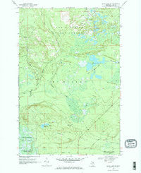 Betsy Lake SW Michigan Historical topographic map, 1:24000 scale, 7.5 X 7.5 Minute, Year 1968