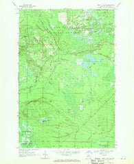 Betsy Lake SW Michigan Historical topographic map, 1:24000 scale, 7.5 X 7.5 Minute, Year 1968