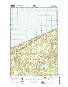 Betsy Lake NW Michigan Historical topographic map, 1:24000 scale, 7.5 X 7.5 Minute, Year 2014