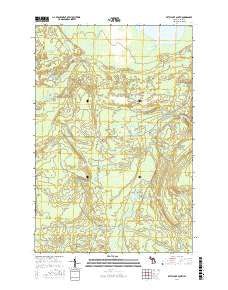 Betsy Lake South Michigan Current topographic map, 1:24000 scale, 7.5 X 7.5 Minute, Year 2017