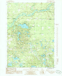 Big Blue Lake Michigan Historical topographic map, 1:24000 scale, 7.5 X 7.5 Minute, Year 1985