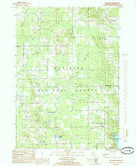 Big Prairie Michigan Historical topographic map, 1:24000 scale, 7.5 X 7.5 Minute, Year 1985