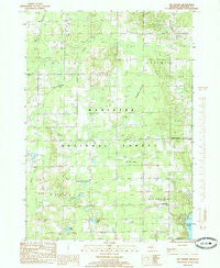 Big Prairie Michigan Historical topographic map, 1:24000 scale, 7.5 X 7.5 Minute, Year 1985