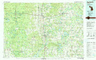 Big Rapids Michigan Historical topographic map, 1:100000 scale, 30 X 60 Minute, Year 1991