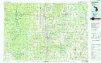 Big Rapids Michigan Historical topographic map, 1:100000 scale, 30 X 60 Minute, Year 1991