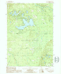 Big Star Lake Michigan Historical topographic map, 1:24000 scale, 7.5 X 7.5 Minute, Year 1987
