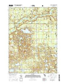 Big Blue Lake Michigan Historical topographic map, 1:24000 scale, 7.5 X 7.5 Minute, Year 2014