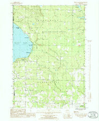 Black Lake Bluffs Michigan Historical topographic map, 1:24000 scale, 7.5 X 7.5 Minute, Year 1986