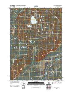 Black Creek Michigan Historical topographic map, 1:24000 scale, 7.5 X 7.5 Minute, Year 2011