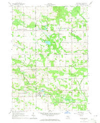 Blanchard Michigan Historical topographic map, 1:24000 scale, 7.5 X 7.5 Minute, Year 1964