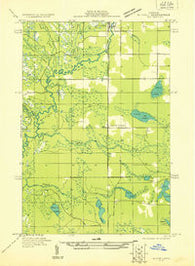 Blaney NW Michigan Historical topographic map, 1:31680 scale, 7.5 X 7.5 Minute, Year 1931