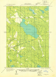 Blaney SE Michigan Historical topographic map, 1:31680 scale, 7.5 X 7.5 Minute, Year 1931