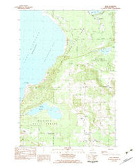 Bliss Michigan Historical topographic map, 1:25000 scale, 7.5 X 7.5 Minute, Year 1982
