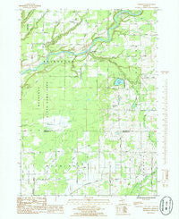 Bridgeton Michigan Historical topographic map, 1:24000 scale, 7.5 X 7.5 Minute, Year 1985