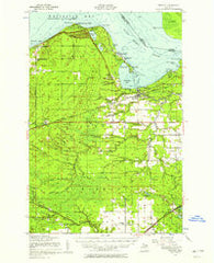 Brimley Michigan Historical topographic map, 1:62500 scale, 15 X 15 Minute, Year 1951