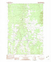 Bruce Crossing Michigan Historical topographic map, 1:24000 scale, 7.5 X 7.5 Minute, Year 1982