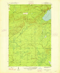 Bruneau Creek Michigan Historical topographic map, 1:24000 scale, 7.5 X 7.5 Minute, Year 1948