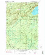 Bruneau Creek Michigan Historical topographic map, 1:24000 scale, 7.5 X 7.5 Minute, Year 1946