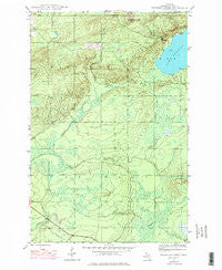 Bruneau Creek Michigan Historical topographic map, 1:24000 scale, 7.5 X 7.5 Minute, Year 1946