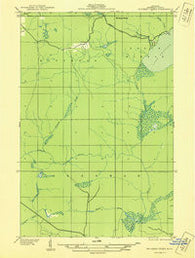Bruneau Creek Michigan Historical topographic map, 1:31680 scale, 7.5 X 7.5 Minute, Year 1938