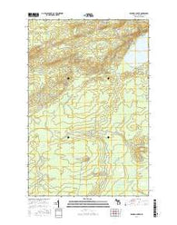 Bruneau Creek Michigan Current topographic map, 1:24000 scale, 7.5 X 7.5 Minute, Year 2017
