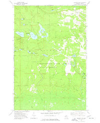 Buckeye Lake Michigan Historical topographic map, 1:24000 scale, 7.5 X 7.5 Minute, Year 1973