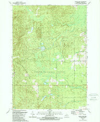 Bucks Pond Michigan Historical topographic map, 1:24000 scale, 7.5 X 7.5 Minute, Year 1989