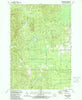Bucks Pond Michigan Historical topographic map, 1:24000 scale, 7.5 X 7.5 Minute, Year 1989