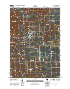 Bucks Pond Michigan Historical topographic map, 1:24000 scale, 7.5 X 7.5 Minute, Year 2012
