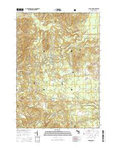 Bucks Pond Michigan Historical topographic map, 1:24000 scale, 7.5 X 7.5 Minute, Year 2014