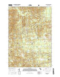 Bucks Pond Michigan Current topographic map, 1:24000 scale, 7.5 X 7.5 Minute, Year 2016