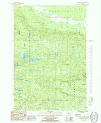 Bulldog Lake Michigan Historical topographic map, 1:24000 scale, 7.5 X 7.5 Minute, Year 1985