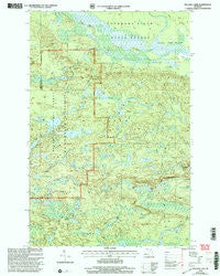 Bulldog Lake Michigan Historical topographic map, 1:24000 scale, 7.5 X 7.5 Minute, Year 1999