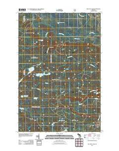 Bulldog Lake Michigan Historical topographic map, 1:24000 scale, 7.5 X 7.5 Minute, Year 2011