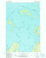 Burnt Island Michigan Historical topographic map, 1:24000 scale, 7.5 X 7.5 Minute, Year 1964