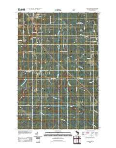 Carlshend Michigan Historical topographic map, 1:24000 scale, 7.5 X 7.5 Minute, Year 2011