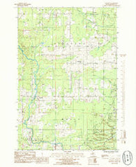 Chandler Michigan Historical topographic map, 1:24000 scale, 7.5 X 7.5 Minute, Year 1985